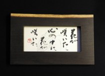 DSCN0372