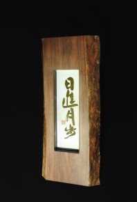 DSCN0395