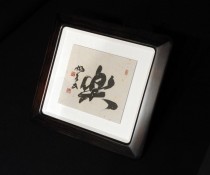 DSCN0410
