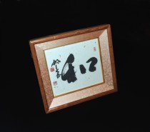 DSCN0435