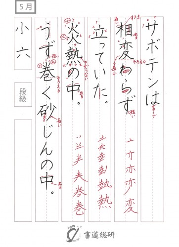サボテンは相変わらず