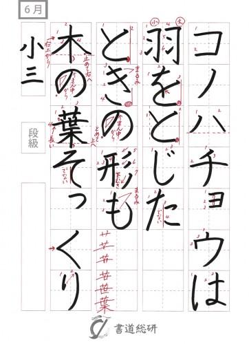 コノハチョウは