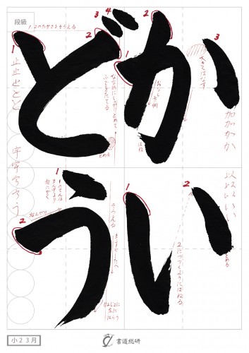 かいどう
