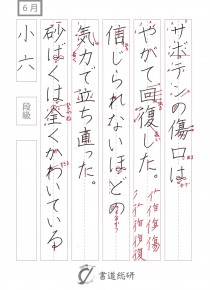サボテンの傷口は