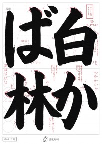 白かば林