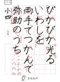 ぴかぴか光るいわしを