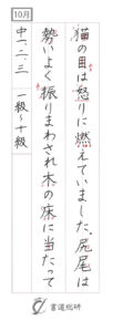 猫の目は怒りに燃えて
