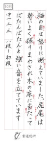 猫の目は怒りに燃えて