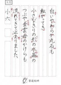 白いやわらか丸石