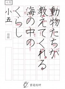 動物たちが教えて