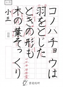 コノハチョウは