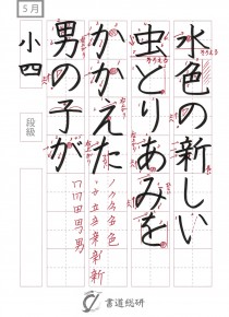 水色の新しい虫とりあみを
