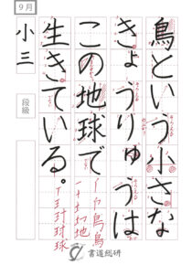 鳥という小さなきょうりゅう