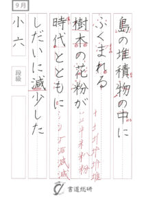 島の堆積物の中に