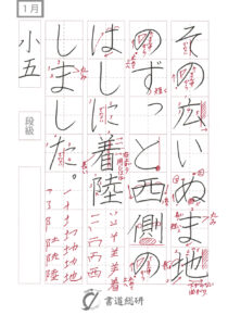その広いぬま地の