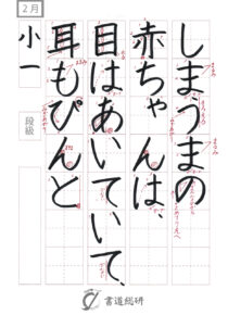 しまうまの赤ちゃんは