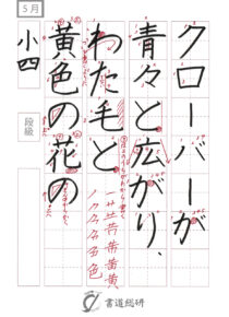 クローバーが青々と