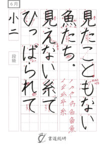 見たこともない魚たち